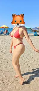 613230016: Chica busca chico en Valladolid