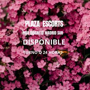 631183688:  en Madrid