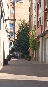 641896019: Chica busca chico en Lérida