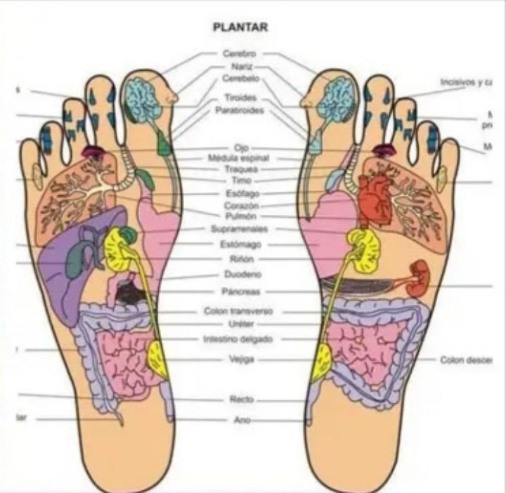 Chica busca chico en Valencia: 