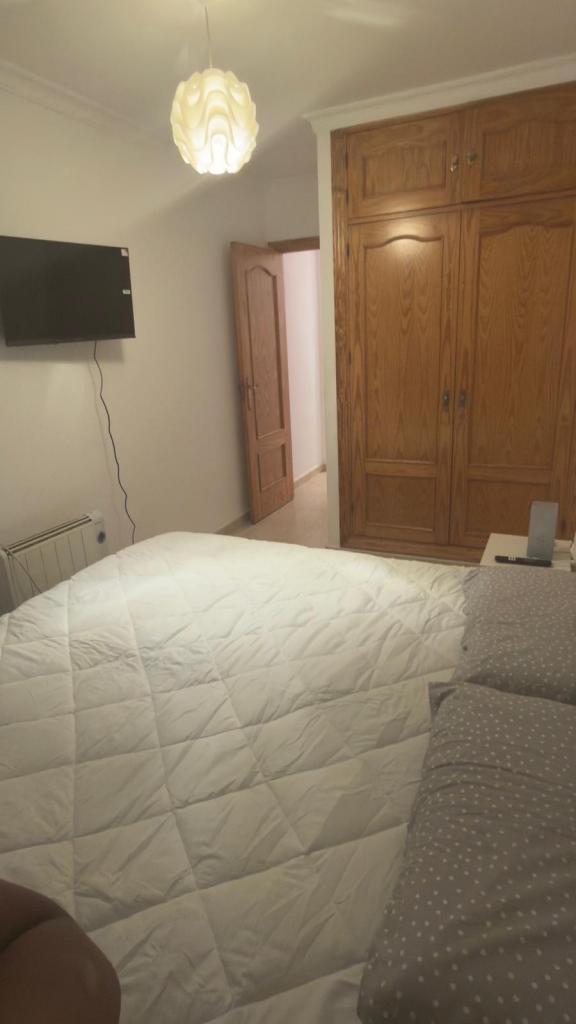 667314305:  en Málaga