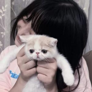 617220466: Chica busca chico en Tenerife