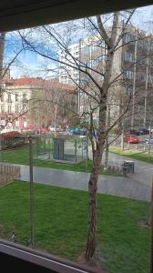 611244640:  en Asturias