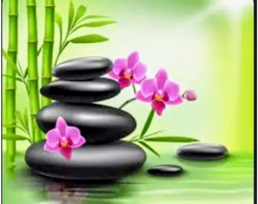 Chica busca chico en Castellón: 