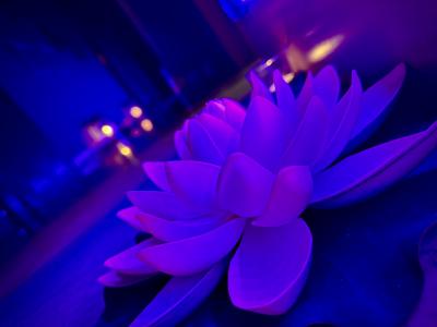 657550105:  en Madrid