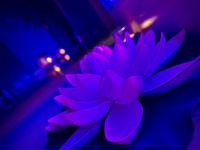 657550105:  en Madrid