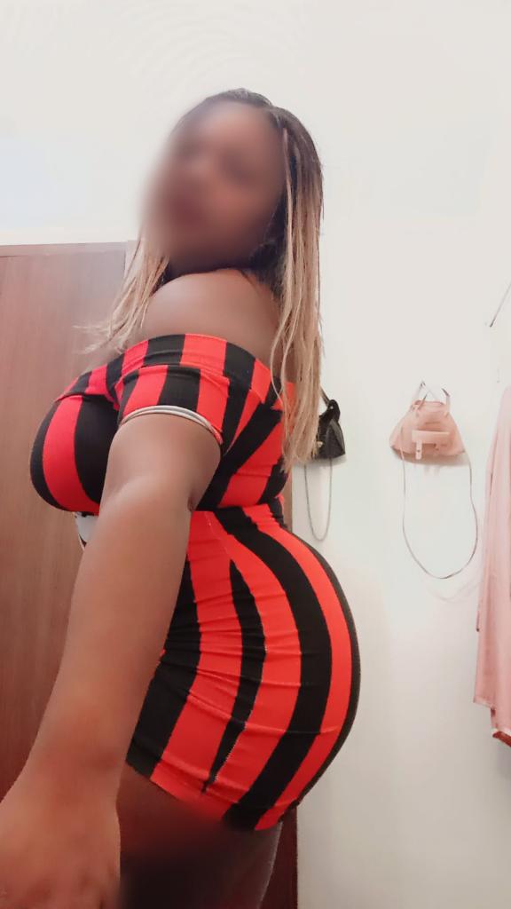 Chica busca chico en Navarra: 