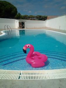 662697246: Chica busca chico en Sevilla