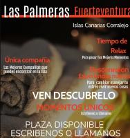 747796992: Chica busca chico en Las Palmas