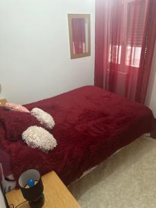 641387047:  en Burgos